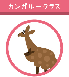 カンガルークラス