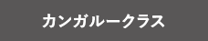 カンガルークラス